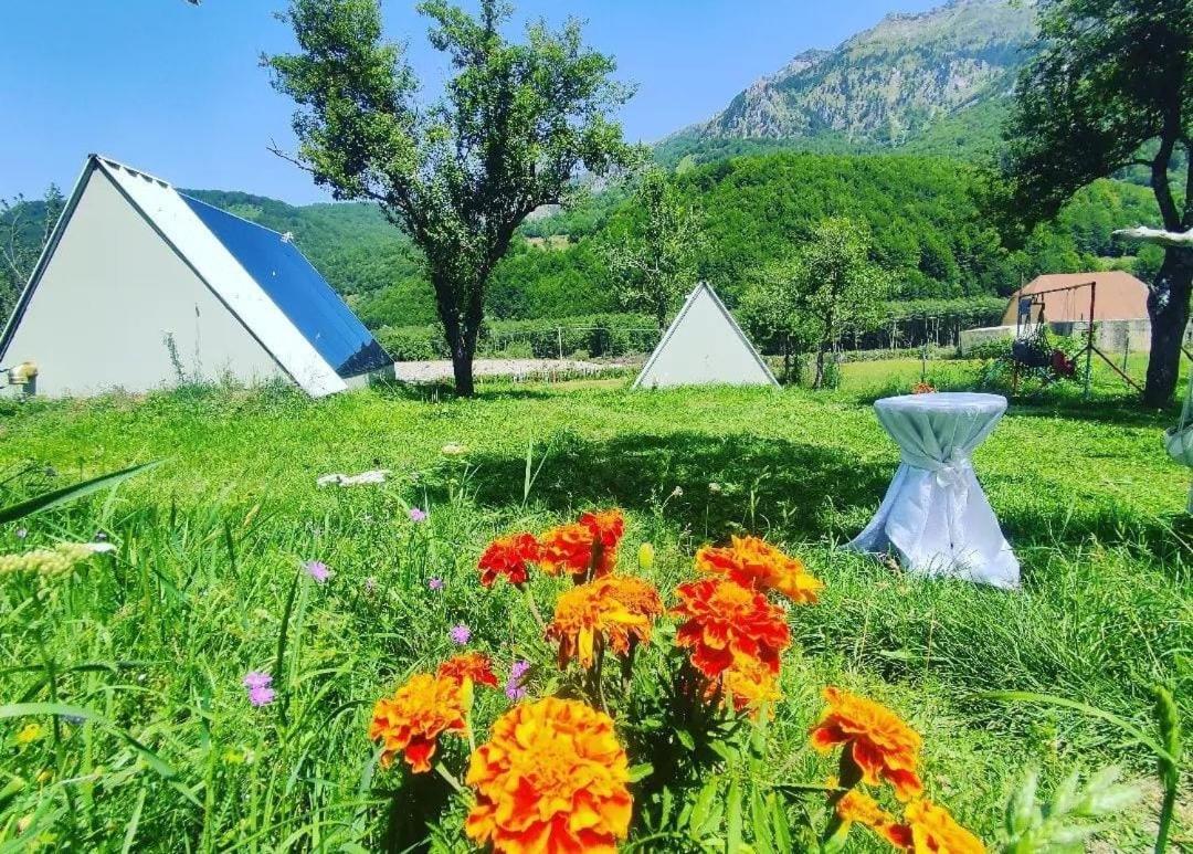 Under Stars House Campingplatz Vermosh